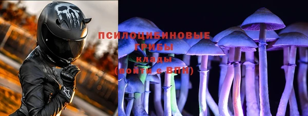 гидра Новодвинск