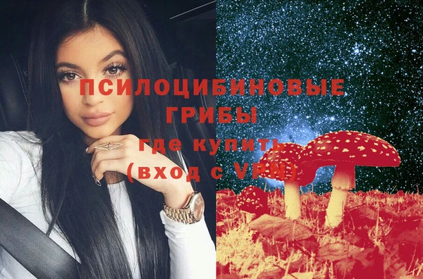ГАЛЛЮЦИНОГЕННЫЕ ГРИБЫ Новокубанск