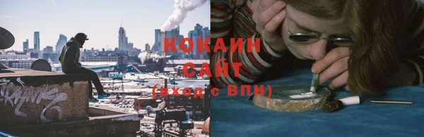 ГАЛЛЮЦИНОГЕННЫЕ ГРИБЫ Новокубанск