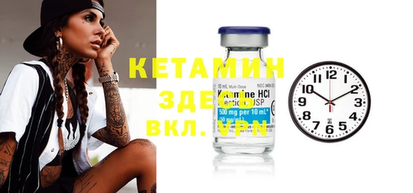 гидра Новодвинск