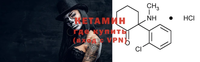гидра Новодвинск