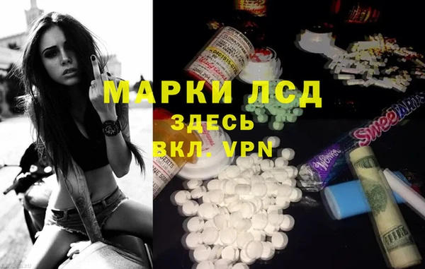 ALPHA-PVP Новозыбков
