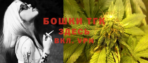 ALPHA-PVP Новозыбков