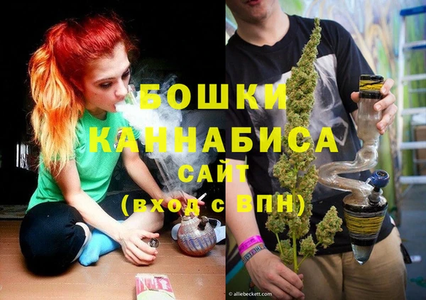 ALPHA-PVP Новозыбков