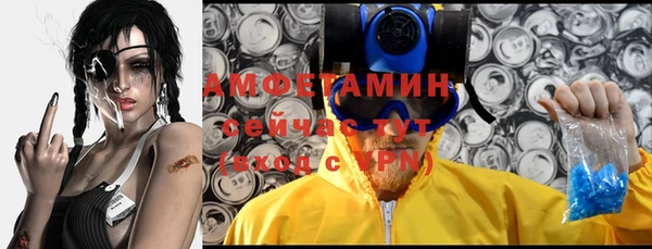 гидра Новодвинск