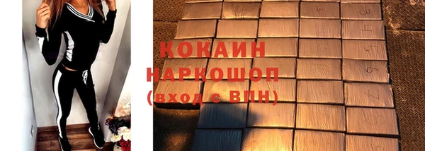 гидра Новодвинск